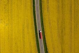 Red truck (Jure Kravanja) - Muzeo.com