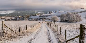RePost 009 - Winter wonderland - 2017.03 (Erik Proper) - Muzeo.com