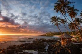 Return to Paradise (Richard Vandewalle) - Muzeo.com