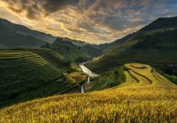 RiceTerrace ( vietnam) (Sarawut Intarob) - Muzeo.com