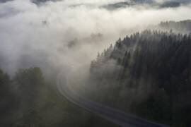 Road to fog (Dmitry Doronin) - Muzeo.com