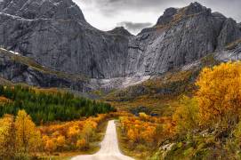 Road to the Wall (Łukasz Winiarski) - Muzeo.com