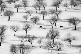 Run (Petar Sabol) - Muzeo.com