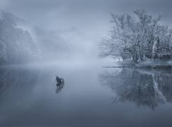 Sailing To The Fog (GuoJi) - Muzeo.com