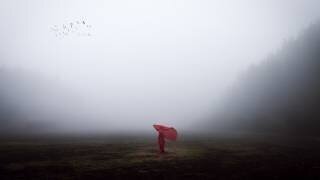 Scarecrow (Dominic Dahncke) - Muzeo.com