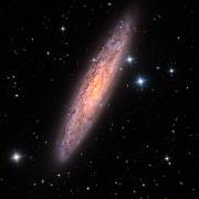 Sculptor Galaxy (Vikas Chander) - Muzeo.com