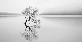 Serenity (Neville Jones) - Muzeo.com