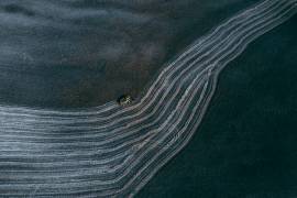 Series Tuscany - Lines and Curves (Carmine Chiriaco) - Muzeo.com