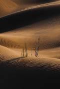 Shadow And Light (Abolfazl Arab) - Muzeo.com
