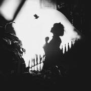 Shadows on the Wall (Terry F) - Muzeo.com