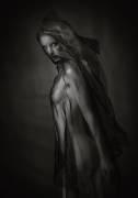 Sheer Black (Catchlight Studio) - Muzeo.com