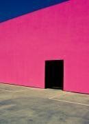 Shocking Pink Wall (David Jordan Williams) - Muzeo.com