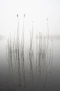 Silence (David Ahern) - Muzeo.com