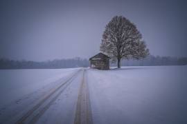 Silence (Renate Wasinger) - Muzeo.com