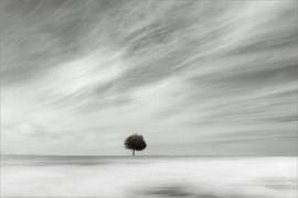 Single (Gilbert Claes ) - Muzeo.com