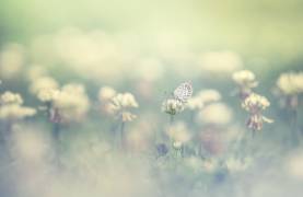 Small world (Takashi Suzuki) - Muzeo.com