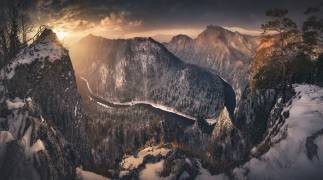 Sokolica (Karol Nienartowicz) - Muzeo.com