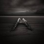 Solscape (Ronny Behnert) - Muzeo.com