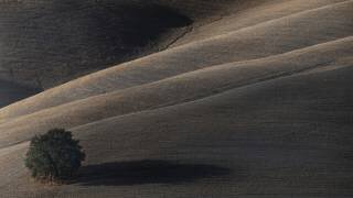 Soon my shadow will dissolve (Claudio Moretti) - Muzeo.com