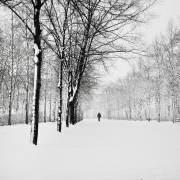 Sorrow is Kissing Me (Ronny Behnert) - Muzeo.com