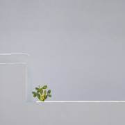 stand alone (Rolf Endermann) - Muzeo.com