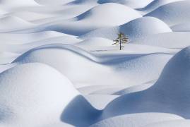 Standing in the Waves (Victor Liu) - Muzeo.com