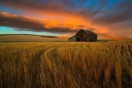 Storm over Palouse (John Fan) - Muzeo.com