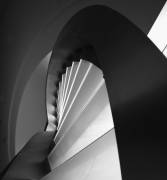 Straight and curves lines (Olavo Azevedo) - Muzeo.com