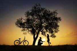 Sun for you (Deniz Ener) - Muzeo.com