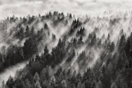 Sundance No.1 (Davorin Baloh ) - Muzeo.com