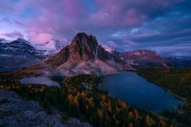 Sunrise at Mt. Assiniboine (Jenny L. Zhang) - Muzeo.com
