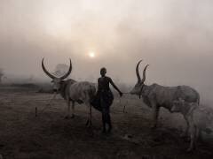 Sunset at Toch Manga mundari camp, South Sudan-3056 (Elena Molina) - Muzeo.com