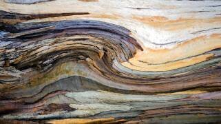 Surfs up, abstractly (Robin Wechsler) - Muzeo.com