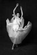 Swan Lake (Peyman Naderi) - Muzeo.com