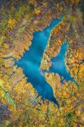 Swimming in Autumn (Mei Xu) - Muzeo.com