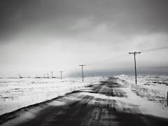 Telephone poles in snow covered field (Magnusson K.) - Muzeo.com