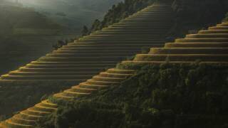 Terrace walking (Izidor Gasperlin ) - Muzeo.com
