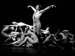 The Company 
