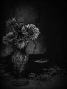 The Cracks (Delphine Margau) - Muzeo.com