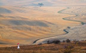 The Curve at Wheatfield (John J. Chen) - Muzeo.com