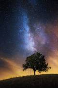 The dreamer's seat (Lukáš Ildža) - Muzeo.com