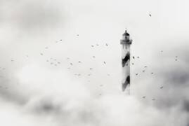 The fog (Piet Flour) - Muzeo.com