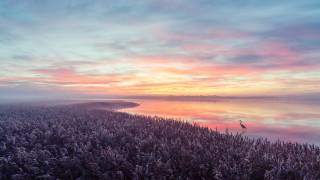 The heron's morning view (Leif Londal) - Muzeo.com