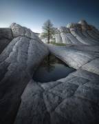 The Moon on Earth (Clara Gamito) - Muzeo.com