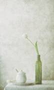 The Nearness of You (Delphine Devos) - Muzeo.com