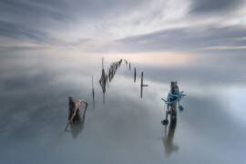 The quiet place (Joaquin Guerola) - Muzeo.com