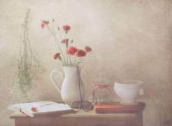The Red Flowers (Delphine Devos) - Muzeo.com
