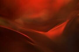 The red valley (Heidi Westum) - Muzeo.com