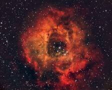 The Rose in the sky (Andrea Auf dem) - Muzeo.com