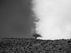 The sky is mine (Saba Noori) - Muzeo.com
